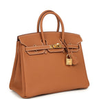 Hermes Birkin 25 Gold Togo Gold Hardware