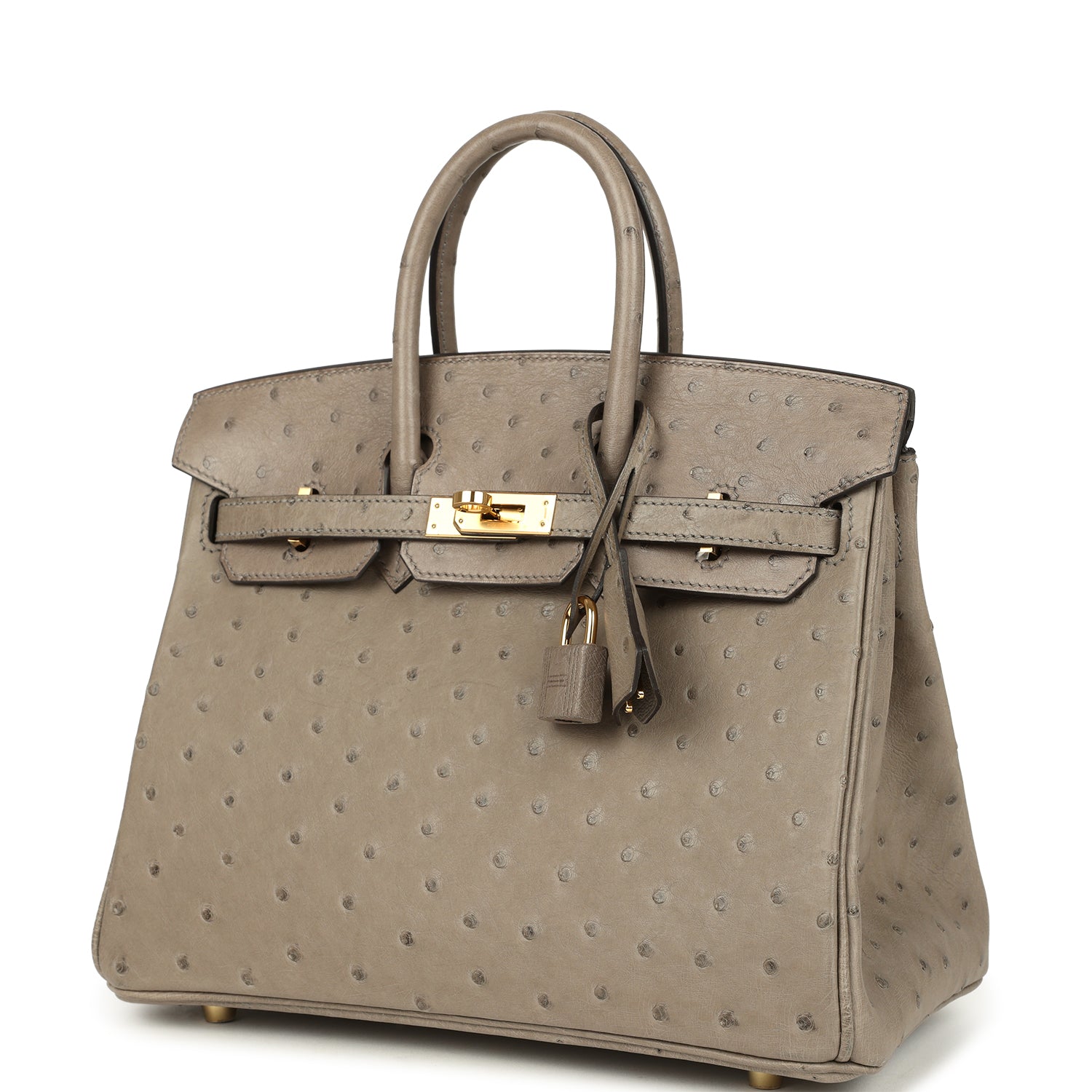 Hermes Birkin 25 Gris Tourterelle Ostrich Gold Hardware