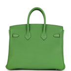 Hermes Birkin 25 Vert Yucca Togo Palladium Hardware
