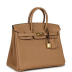 Hermes Birkin 25 Chai Togo Gold Hardware