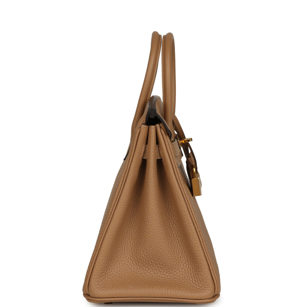Hermes Birkin 25 Chai Togo Gold Hardware
