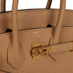 Hermes Birkin 25 Chai Togo Gold Hardware