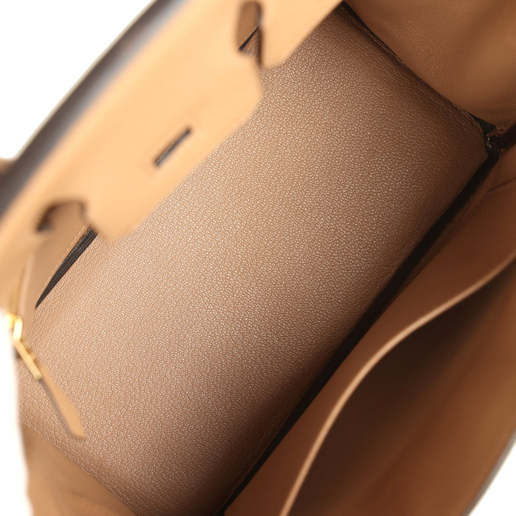 Hermes Birkin 25 Chai Togo Gold Hardware