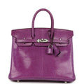 Hermes Birkin 25 Violet Varanus Niloticus Lizard Palladium Hardware