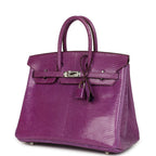 Hermes Birkin 25 Violet Varanus Niloticus Lizard Palladium Hardware