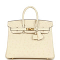 Hermes Birkin 25 Nata Ostrich Gold Hardware