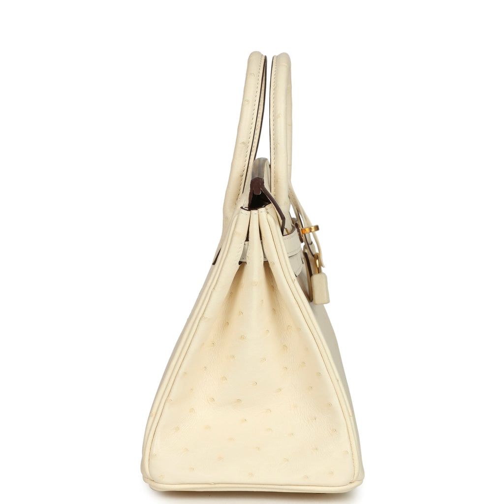 Hermes Birkin 25 Nata Ostrich Gold Hardware