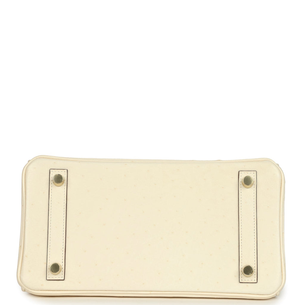 Hermes Birkin 25 Nata Ostrich Gold Hardware