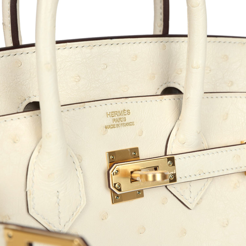 Hermes Birkin 25 Nata Ostrich Gold Hardware