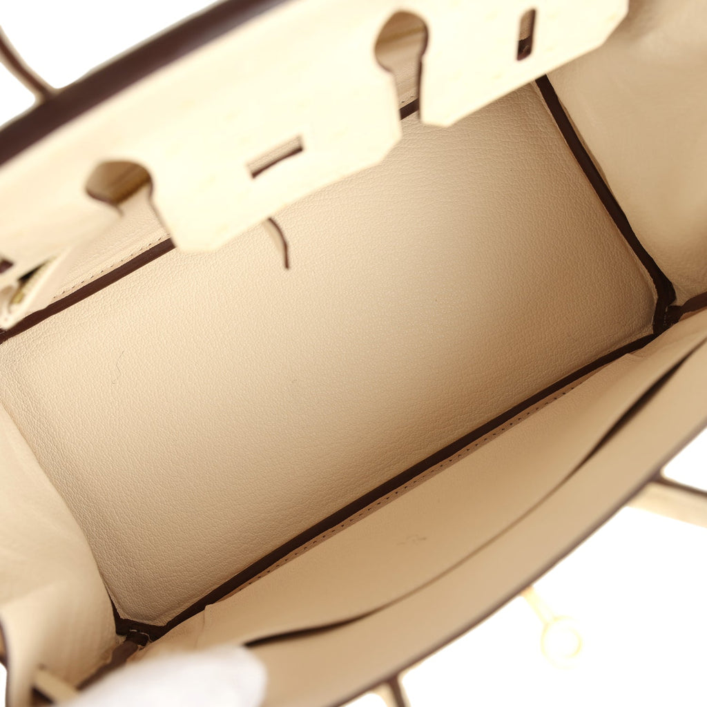Hermes Birkin 25 Nata Ostrich Gold Hardware