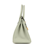 Hermes Birkin 30 Gris Neve Togo Gold Hardware