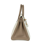 Hermes Special Order (HSS) Birkin 25 White and Etoupe Clemence Brushed Gold Hardware