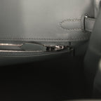 Hermes Birkin 25 Ecru-Vert Amande Toile H Canvas and Vert Mangrove Swift Palladium Hardware