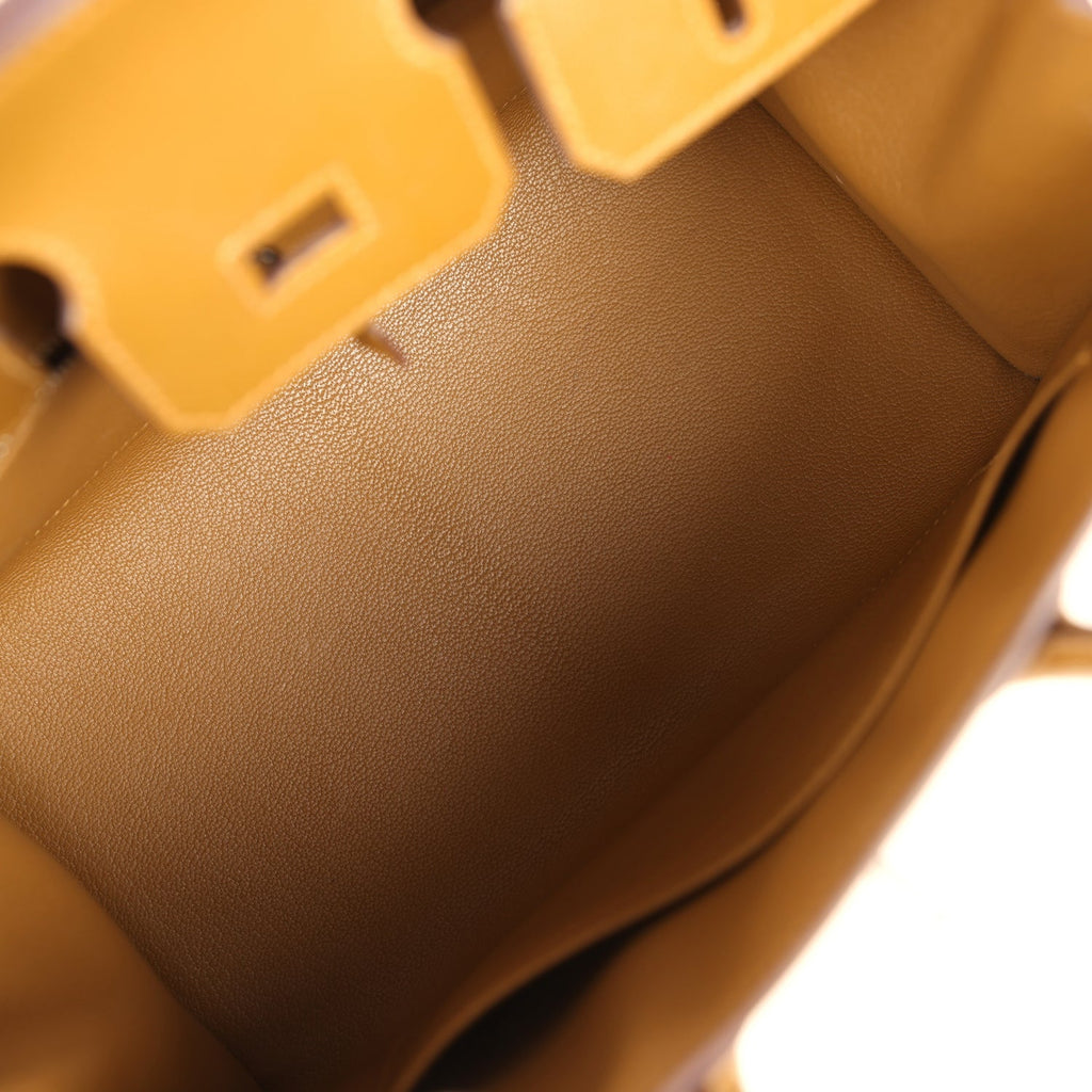 Hermes Birkin Sellier 25 Bronze Dore Madame Palladium Hardware