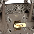Hermes Jay Ahr Birkin 30 Gris Asphalte Epsom Bandana Embroidery Gold Hardware