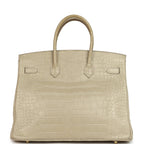 Hermes Birkin 35 Beton Matte Alligator Gold Hardware