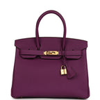Hermes Birkin 30 Anemone Togo Gold Hardware