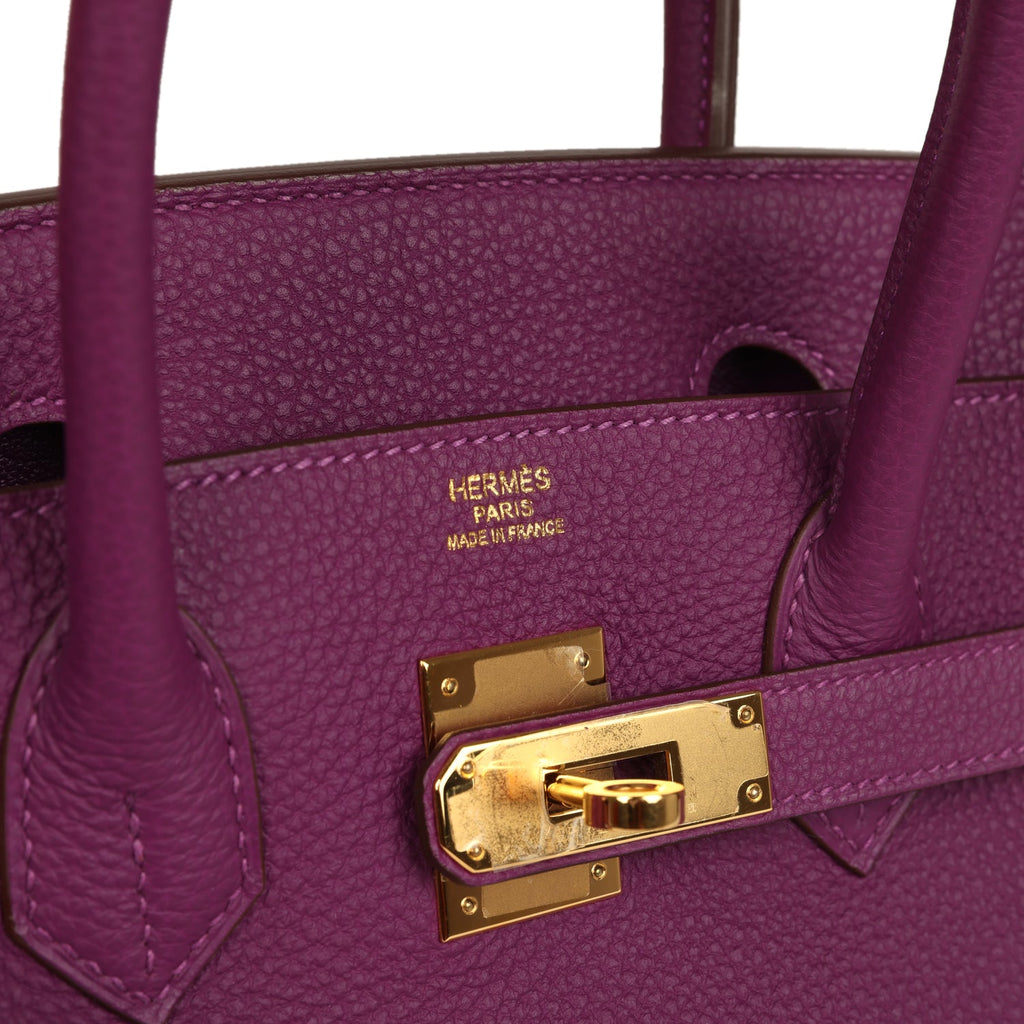 Hermes Birkin 30 Anemone Togo Gold Hardware
