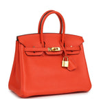 Hermes Birkin 25 Orange Poppy Togo Gold Hardware