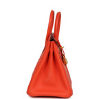 Hermes Birkin 25 Orange Poppy Togo Gold Hardware