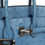 Hermes Birkin 25 Mykonos Ostrich Palladium Hardware