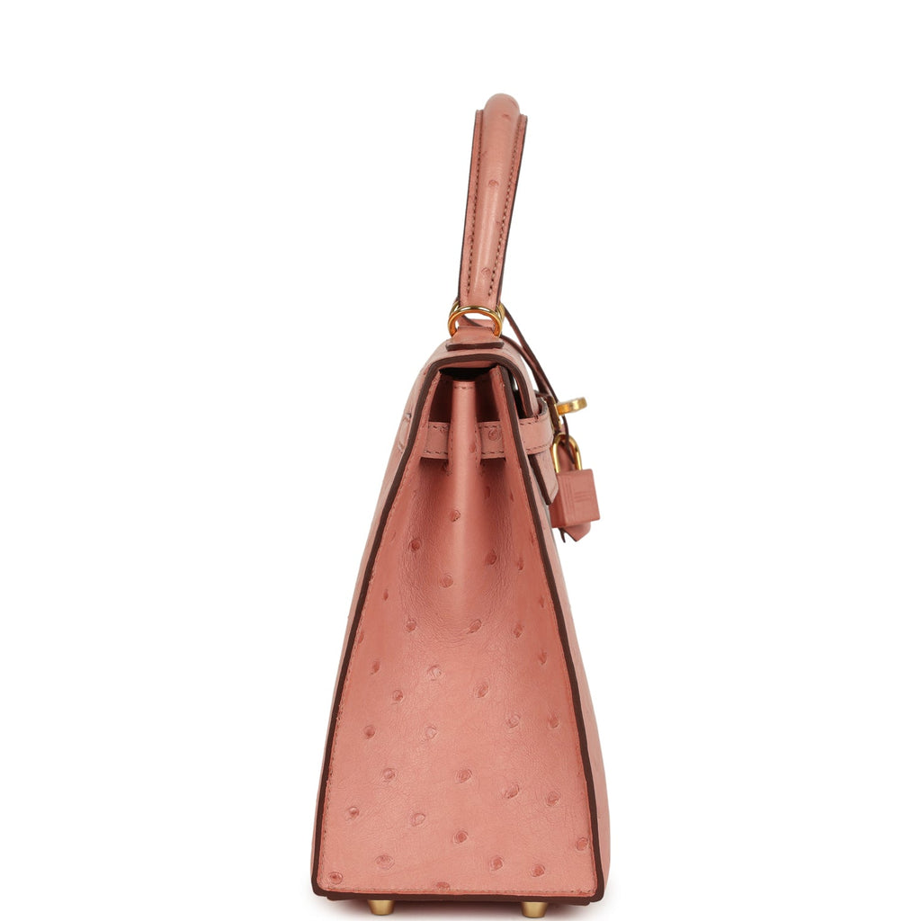 Hermes Kelly Sellier 25 Terre Cuite Ostrich Gold Hardware