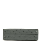 Hermes Kelly Sellier 20 Vert Amande Ostrich Palladium Hardware