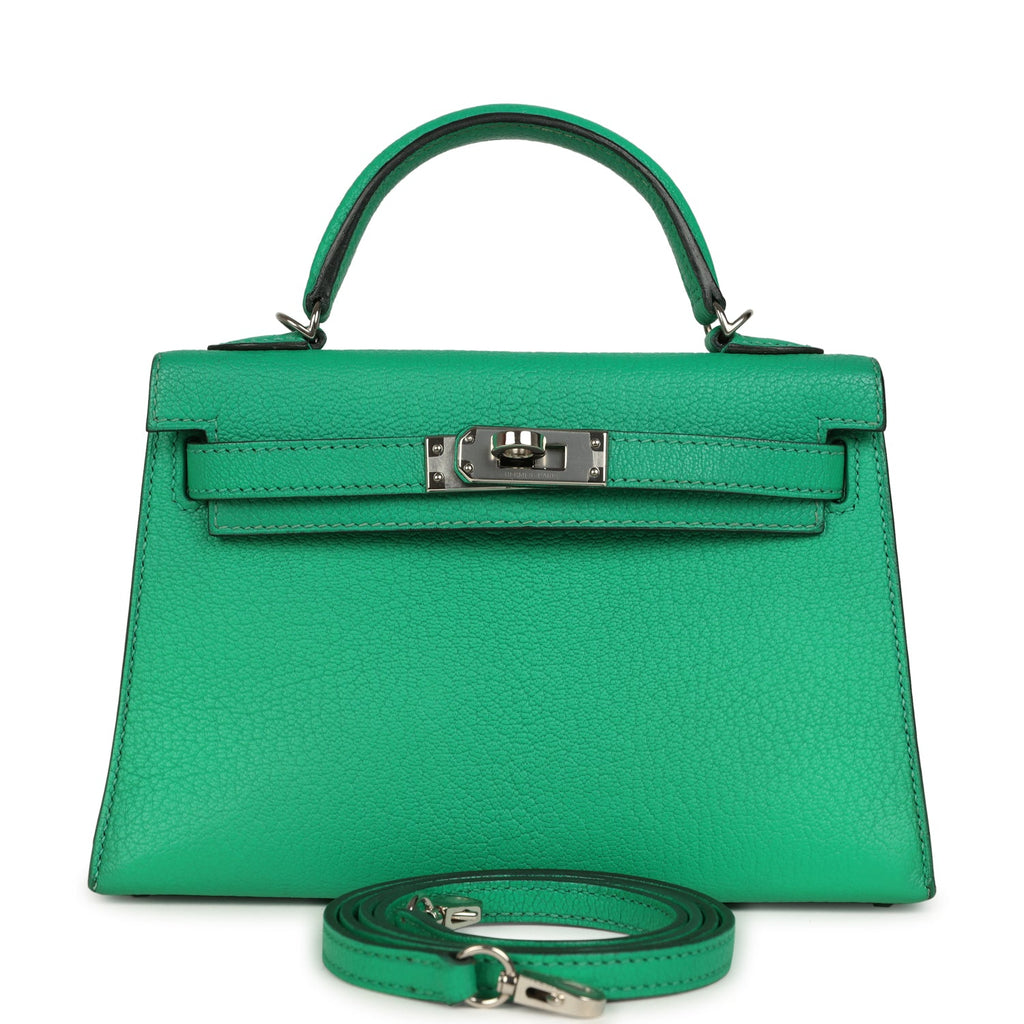 Hermes Kelly Sellier 20 Cactus Verso Chèvre Mysore Palladium Hardware