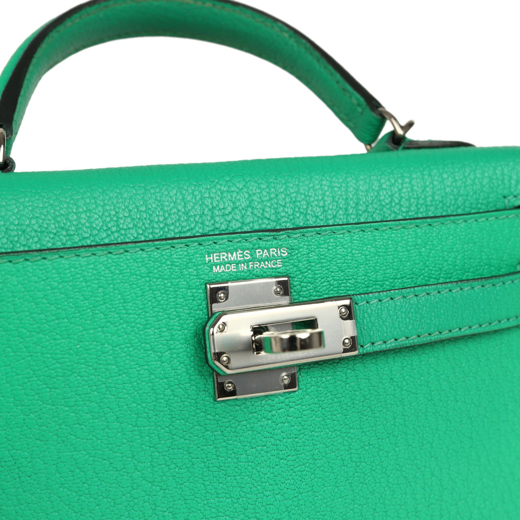 Hermes Kelly Sellier 20 Cactus Verso Chèvre Mysore Palladium Hardware