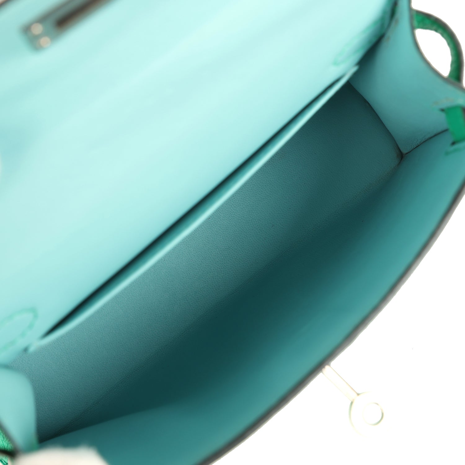 Hermes Kelly Sellier 20 Cactus Verso Chèvre Mysore Palladium Hardware