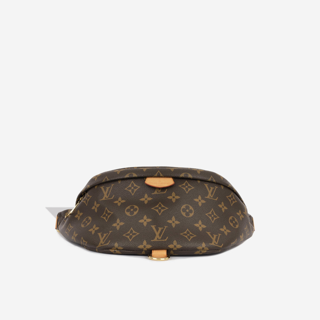 Louis Vuitton Bumbag Monogram Canvas
