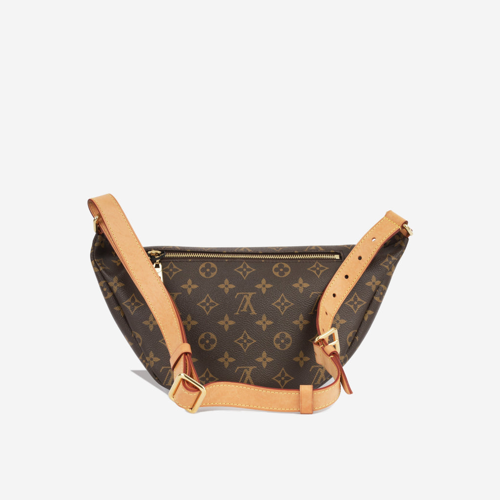 Louis Vuitton Bumbag Monogram Canvas