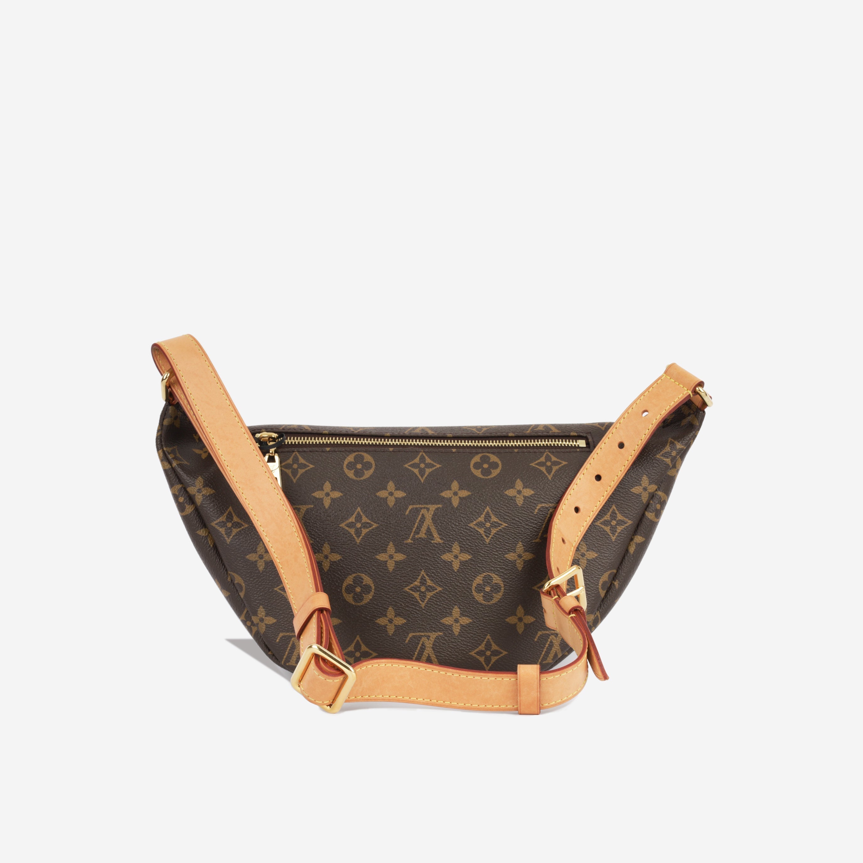 Louis Vuitton Bumbag Monogram Canvas