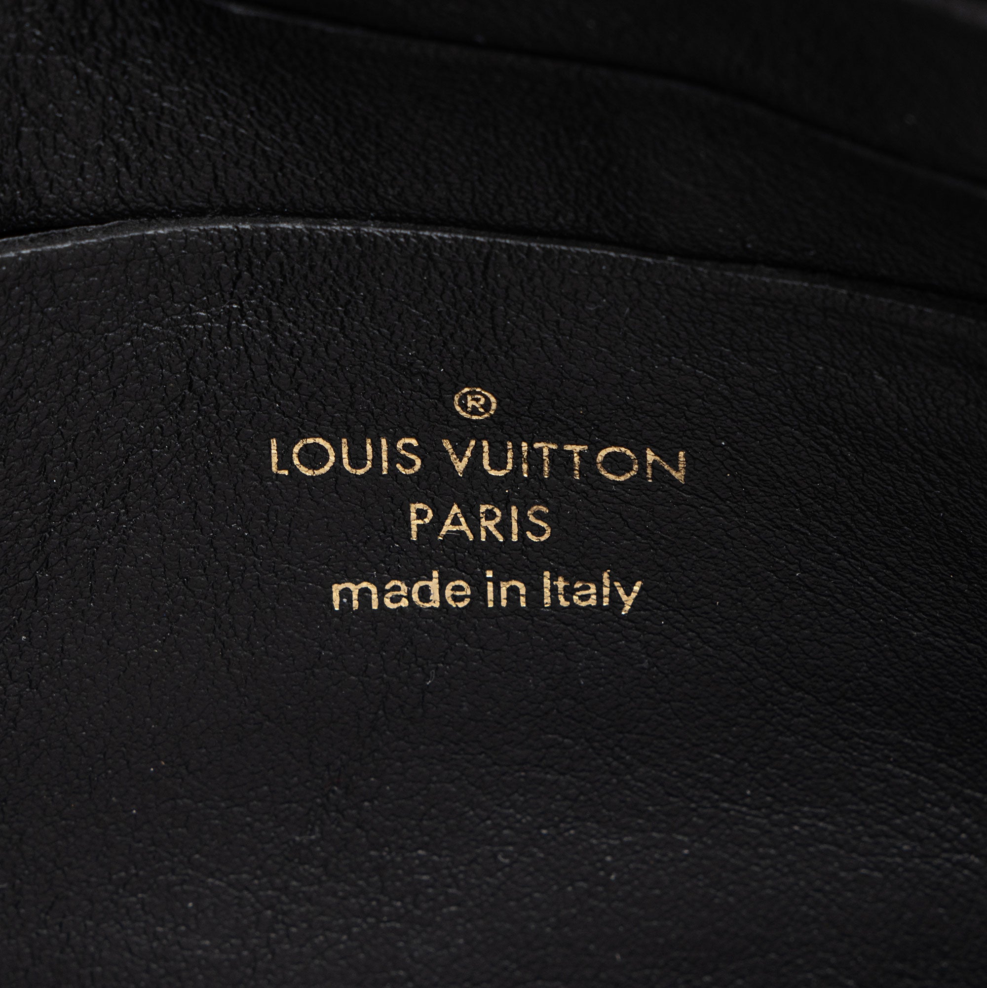 Louis Vuitton Bubblegram Calfskin Wallet on Strap