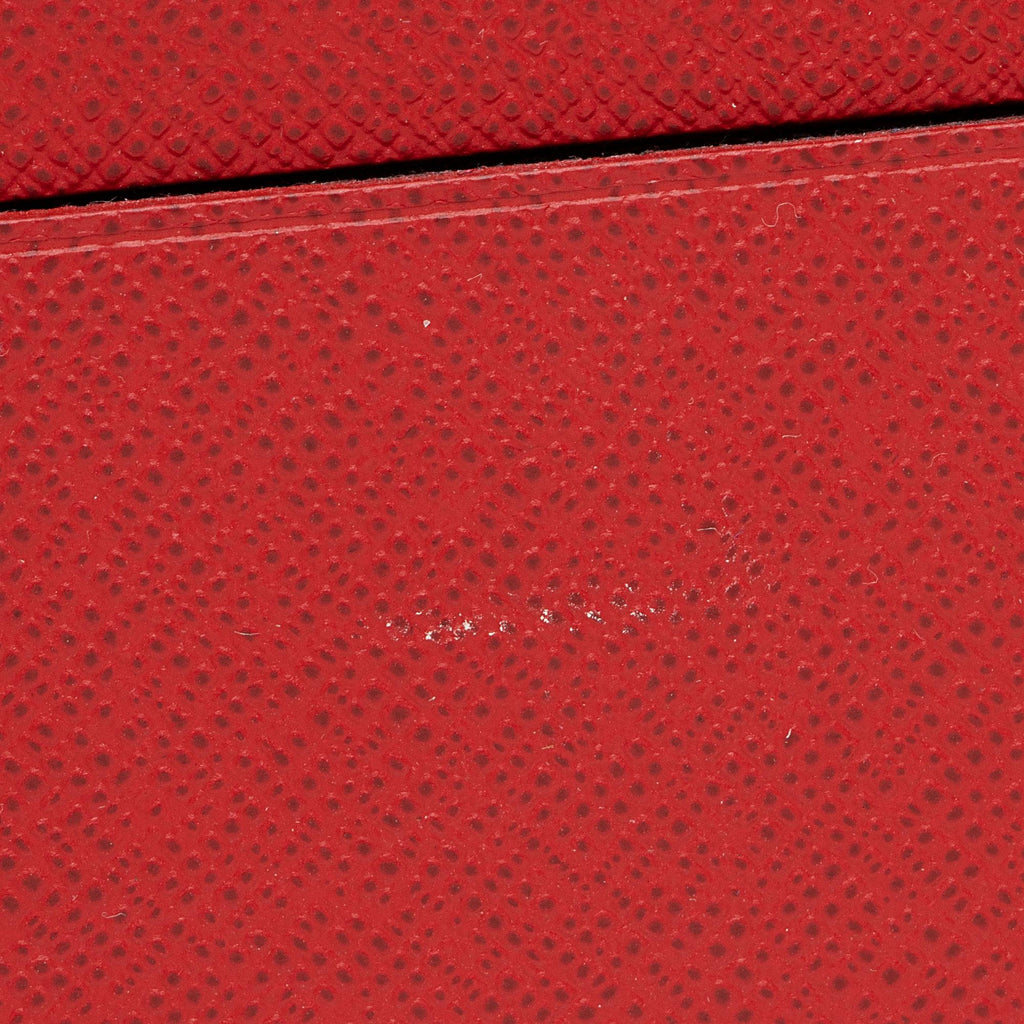 Louis Vuitton Calfskin Felicie Insert (SHF-3fjz4K)