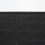 Louis Vuitton Calfskin Felicie Insert (SHF-Pb9rUU)