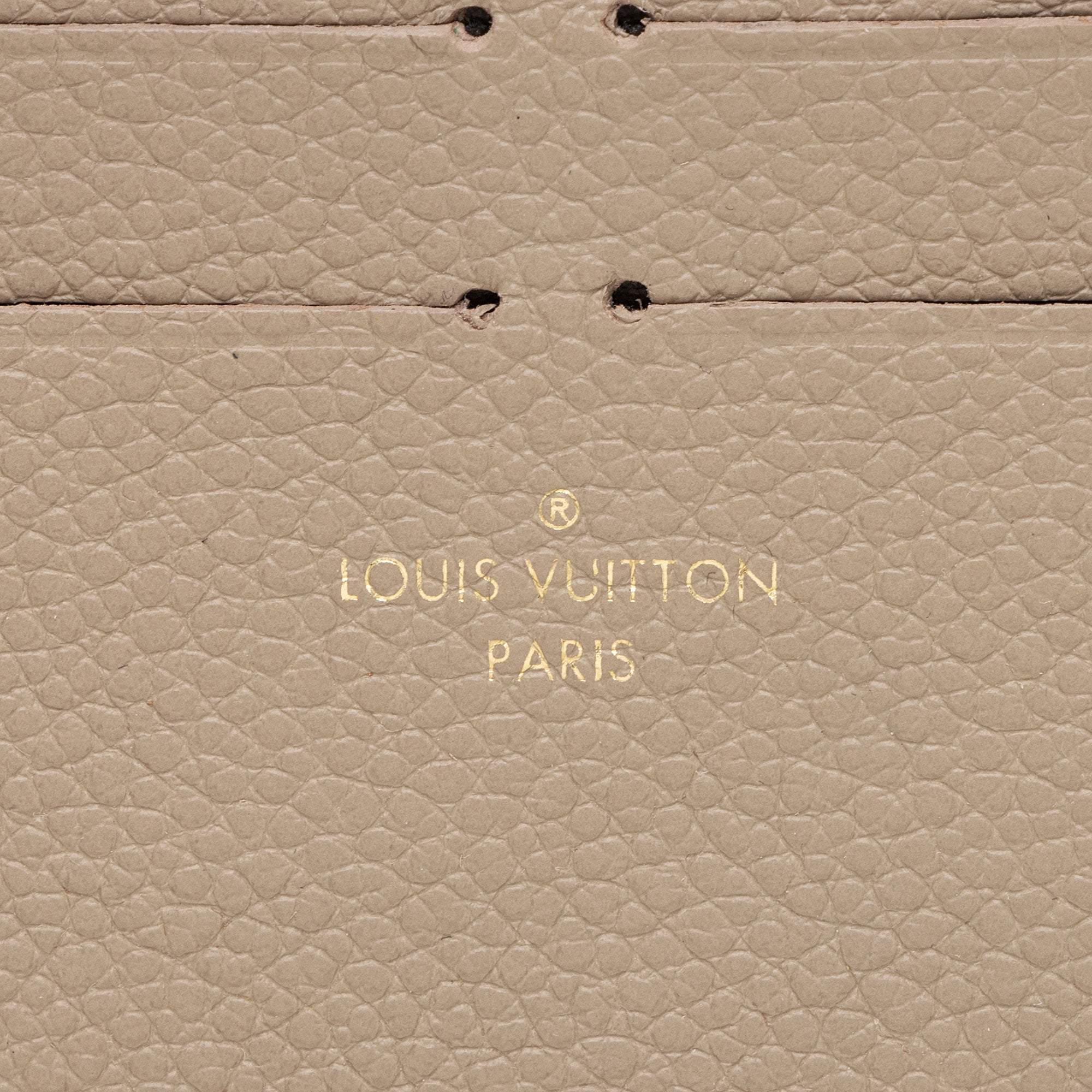 Louis Vuitton Calfskin Felicie Insert (SHF-sZDGkf)