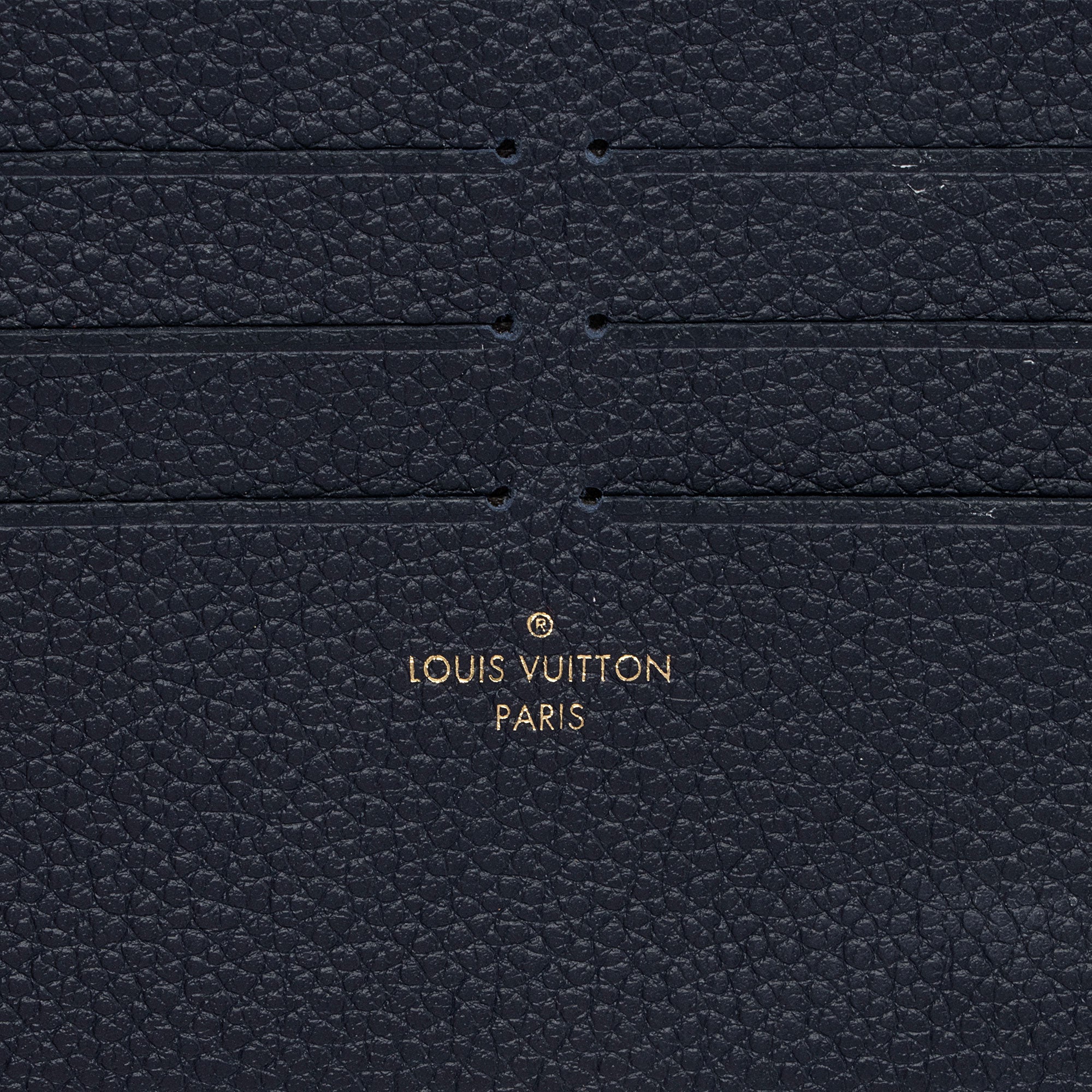 Louis Vuitton Calfskin Felicie Insert (SHF-zW8Xz3)