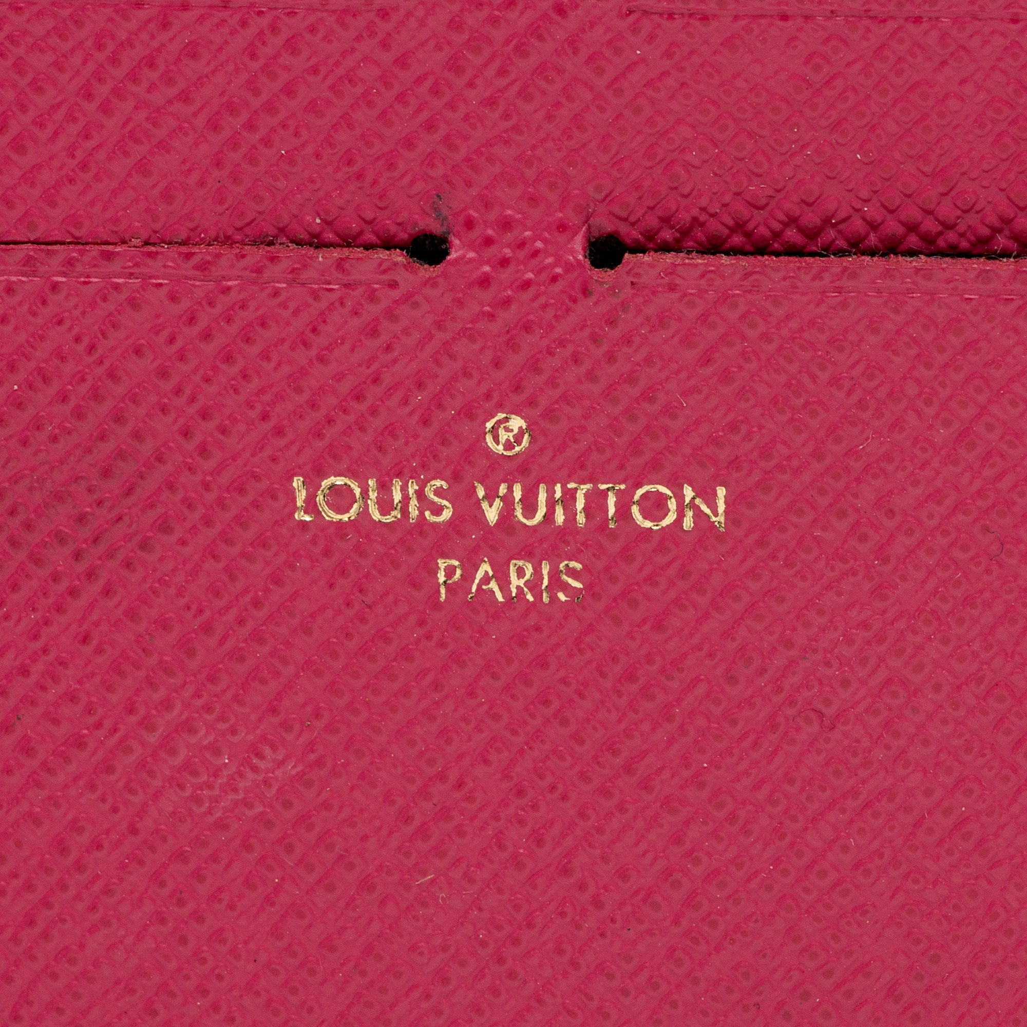 Louis Vuitton Calfskin Felicie Insert (SHF-Ffjv0y)