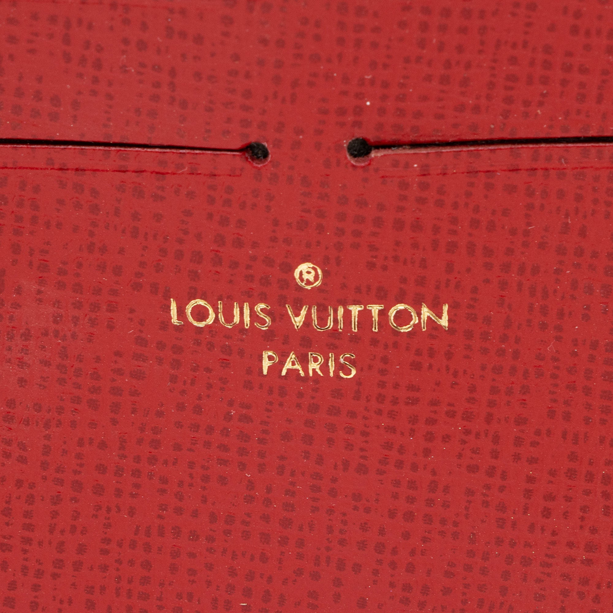 Louis Vuitton Calfskin Felicie Insert