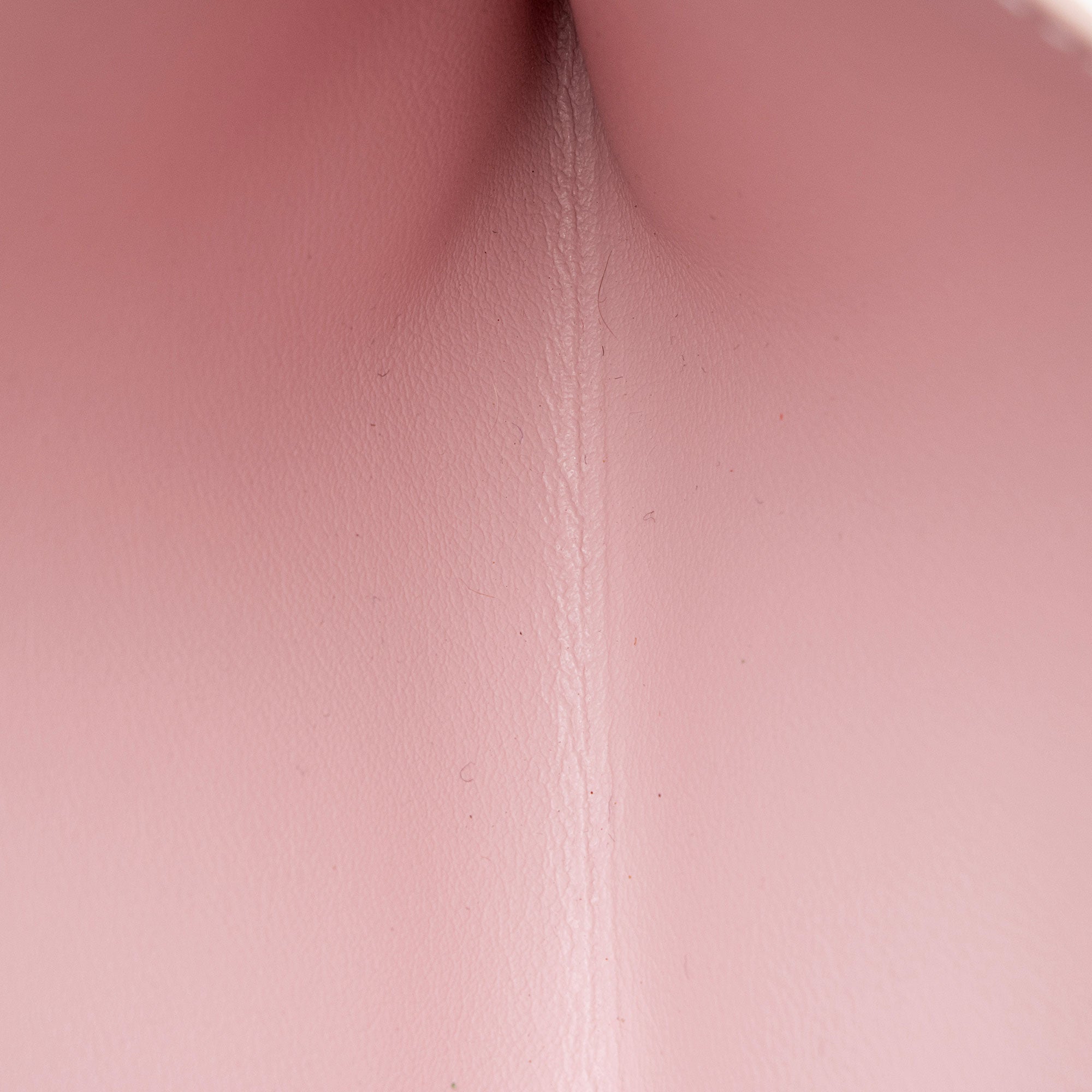Louis Vuitton Calfskin Felicie Insert