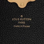 Louis Vuitton Damier Ebene Calfskin Clapton PM Shoulder Bag (SHF-1qRtRy)