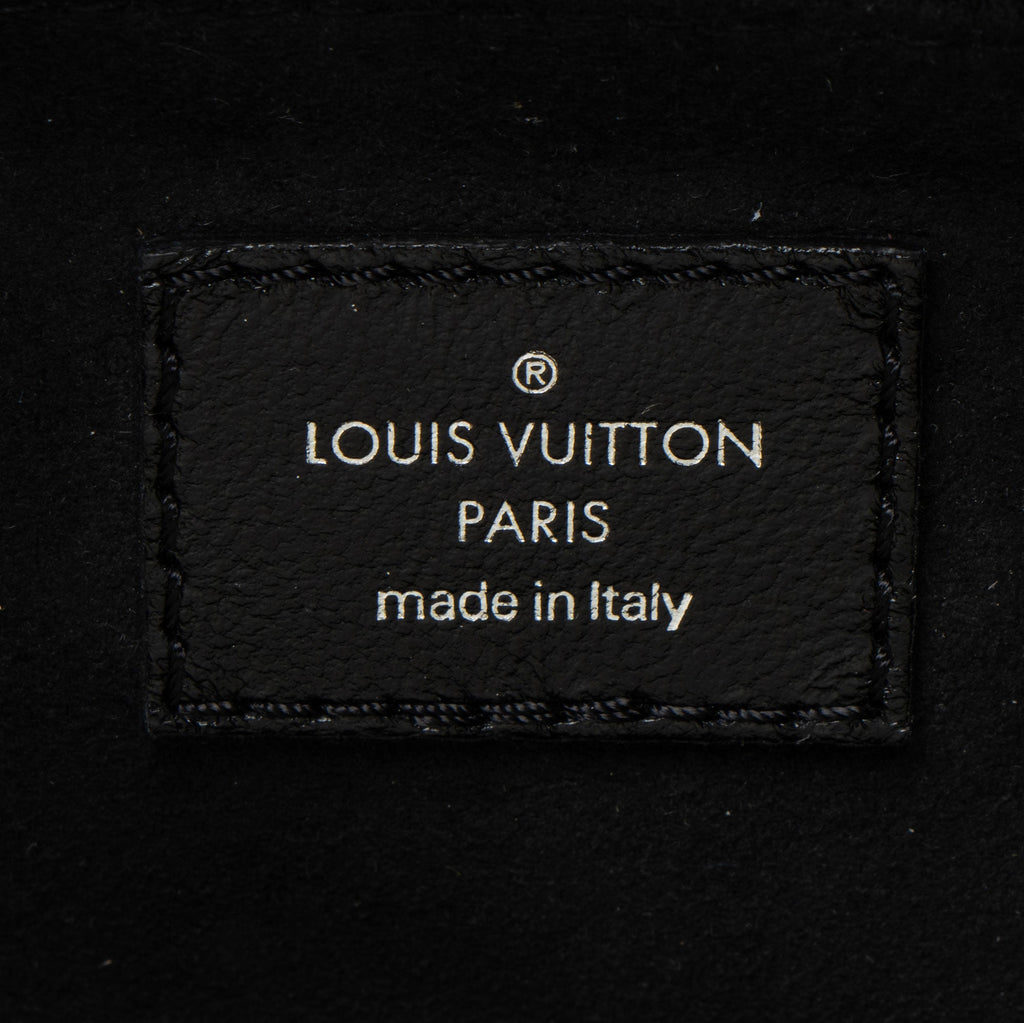 Louis Vuitton Lambskin CarryAll Vibe MM Shoulder Bag