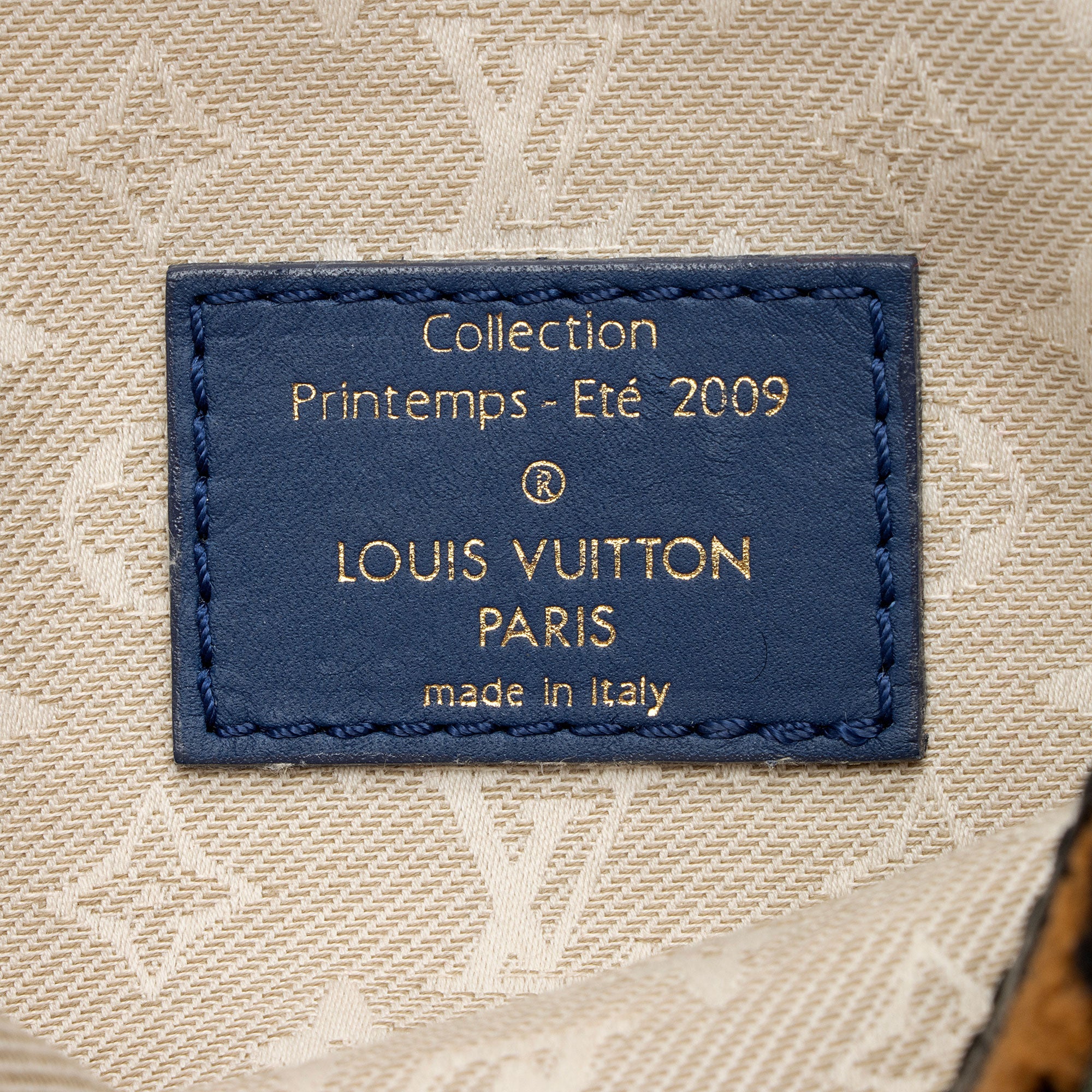 Louis Vuitton Limited Edition Calfskin Savane Flight Bag (SHF-M9uV5p)