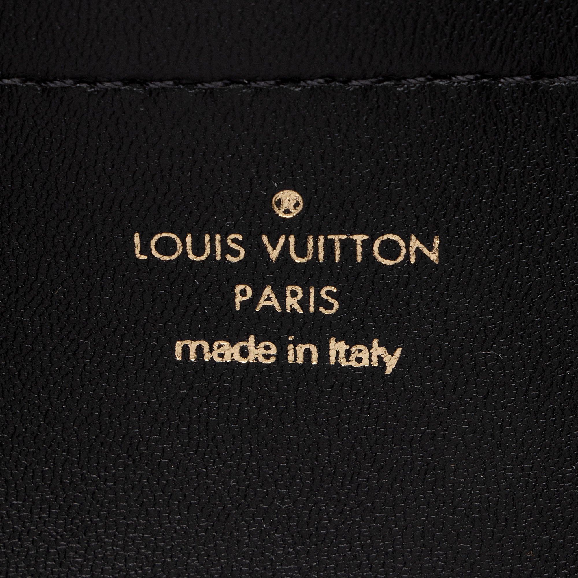 Louis Vuitton Monogram Embossed Lambskin Coussin Pochette (SHF-vpjF7w)