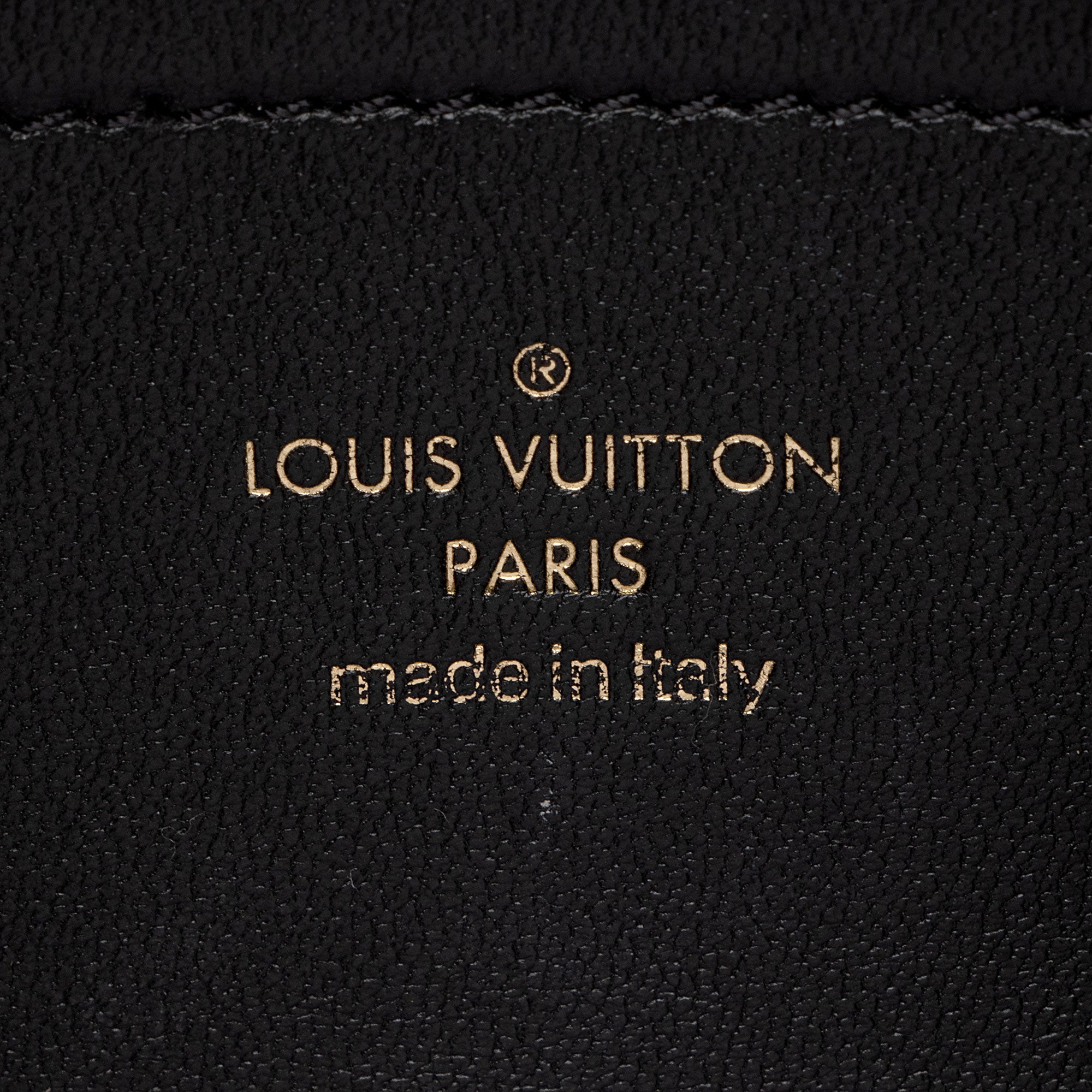 Louis Vuitton Monogram Embossed Lambskin Coussin Pochette (SHF-cmWPKU)