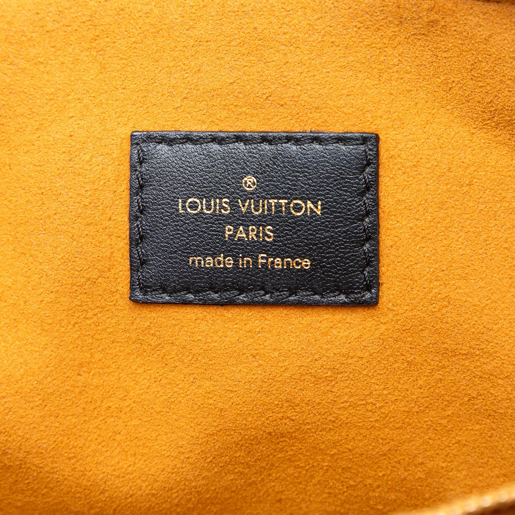 Louis Vuitton Monogram Embossed Puffy Lambskin Coussin MM