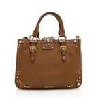 Miu Miu Leather Crystal Embellished Tote (SHF-17965)