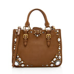 Miu Miu Leather Crystal Embellished Tote (SHF-17965)