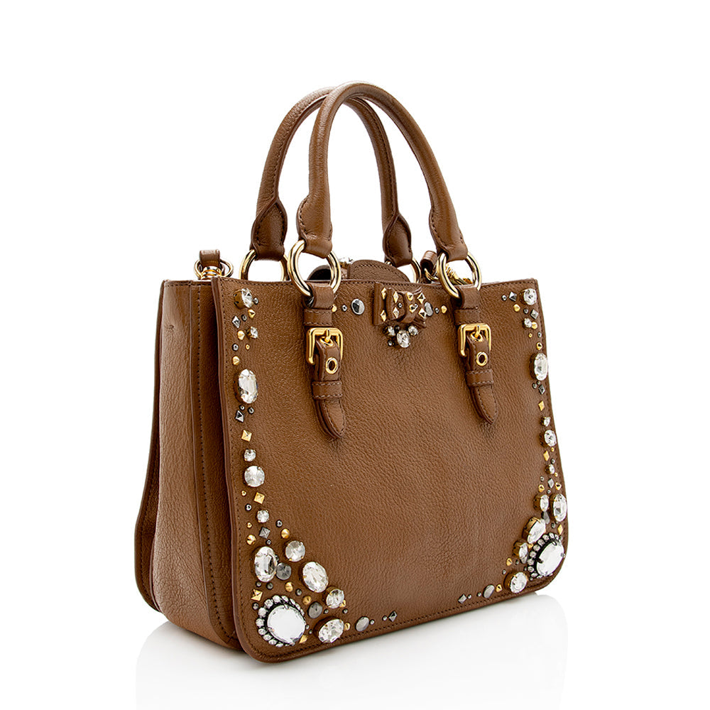 Miu Miu Leather Crystal Embellished Tote (SHF-17965)